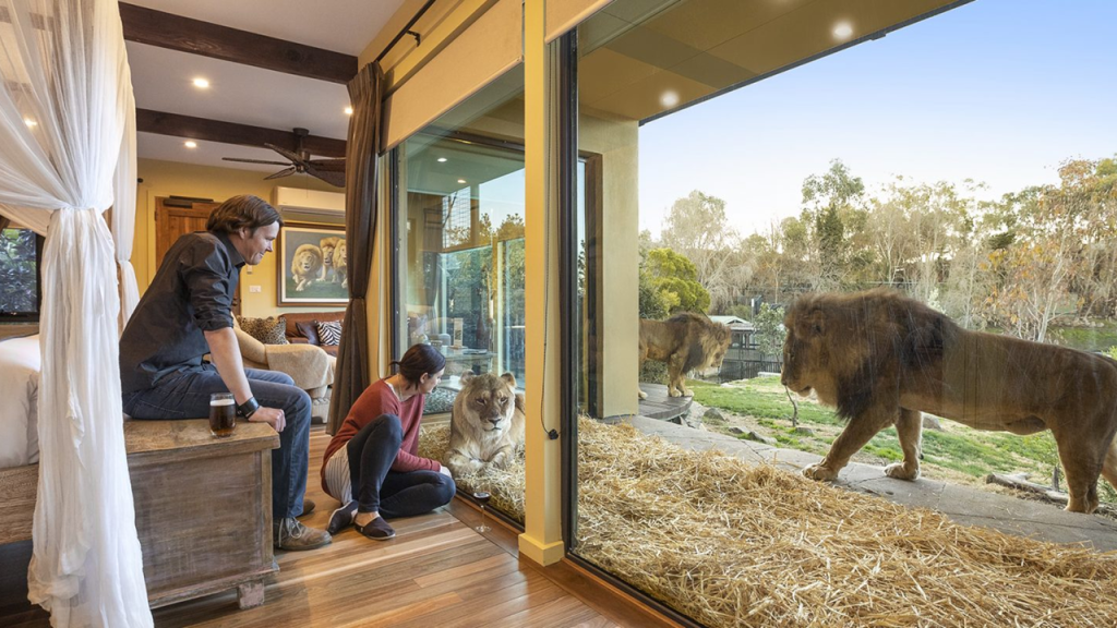 Finance Lives In The&nbsp;Zoo